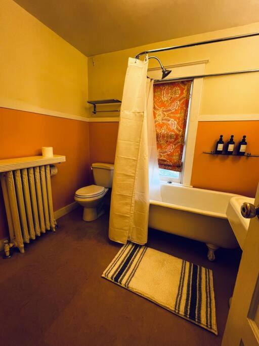 4 Bedroom Dc's Location With Parking, Walk To Clarendon Metro, Shopping And Nightlife! Arlington