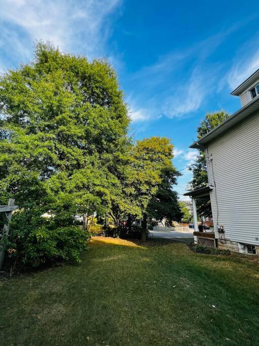 Villa 4 Bedroom Dc's Location With Parking, Walk To Clarendon Metro, Shopping And Nightlife! Arlington