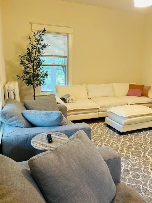 4 Bedroom Dc's Location With Parking, Walk To Clarendon Metro, Shopping And Nightlife! Arlington
